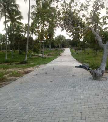 BioVila Sauípe lotes terrenos linha verde litoral lotes