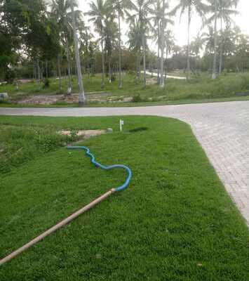 BioVila Sauípe lotes terrenos linha verde litoral lotes
